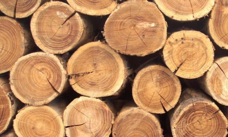 Characteristics of Lumber Grading & Structural Properties of Wood