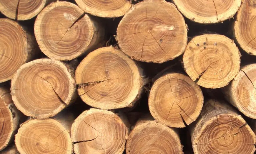 Characteristics of Lumber Grading