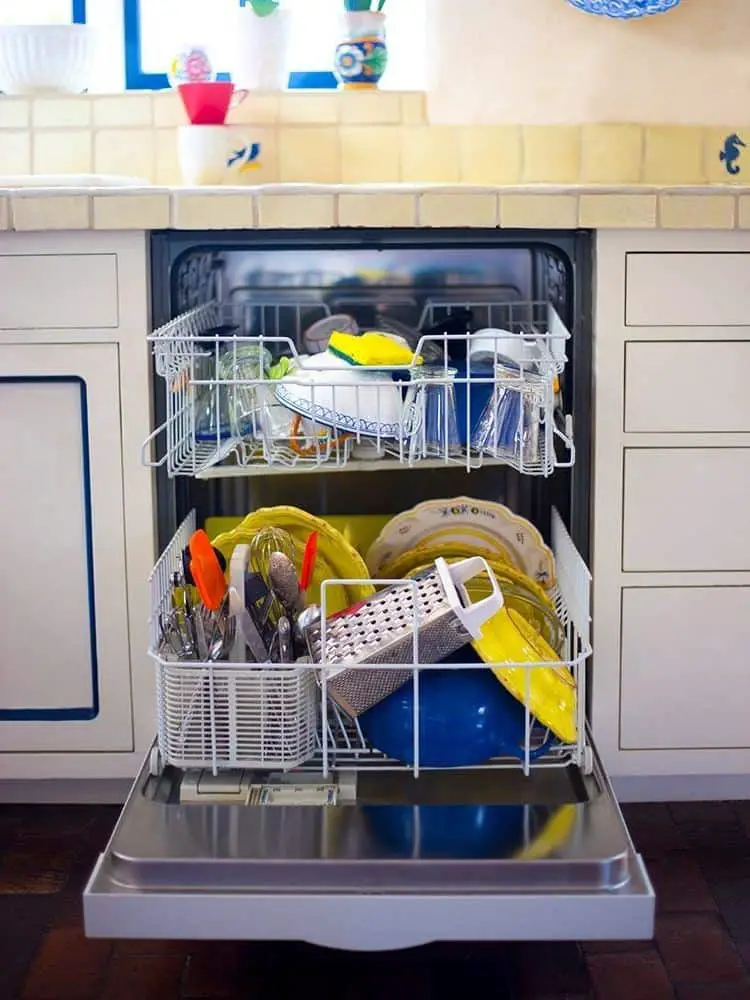 sponge in dishwasher