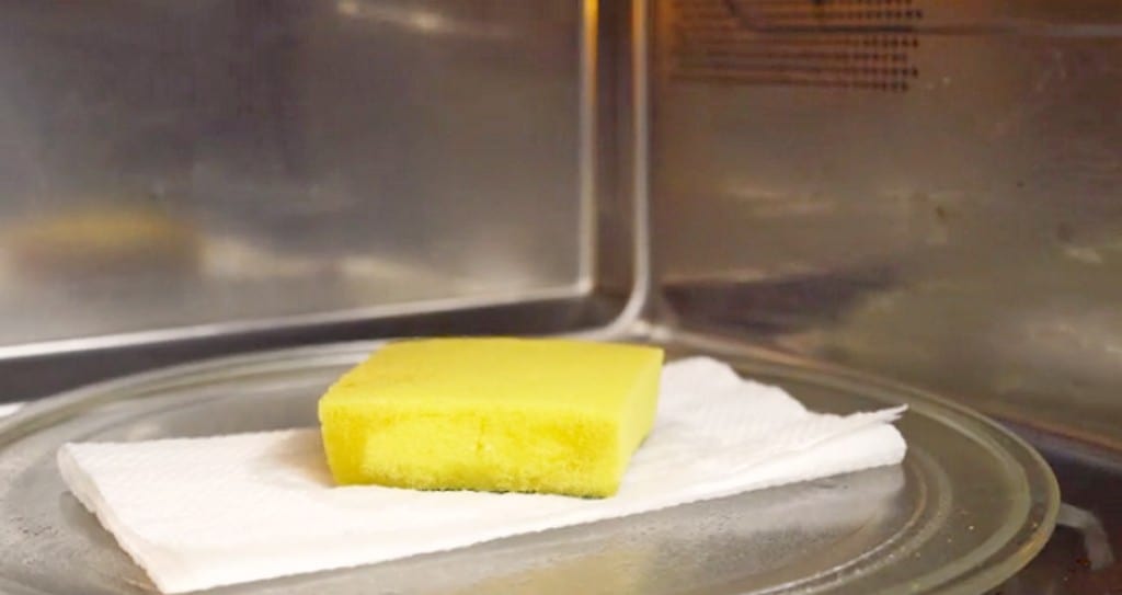 sponge in microwave to sanitize