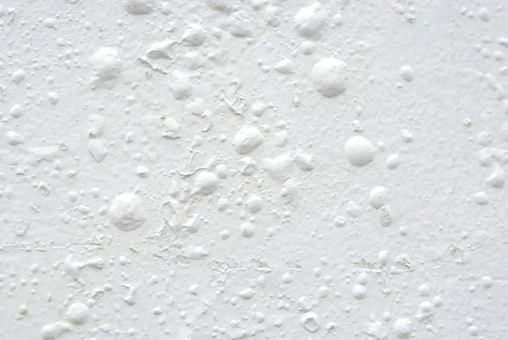 wall paint blistering bubbling