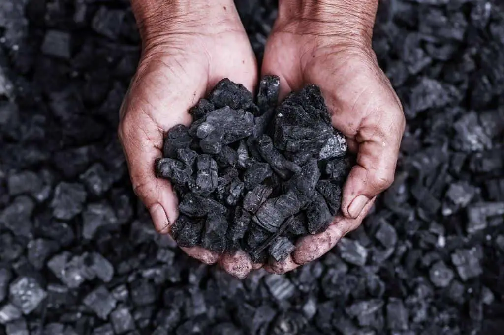 coal in hands